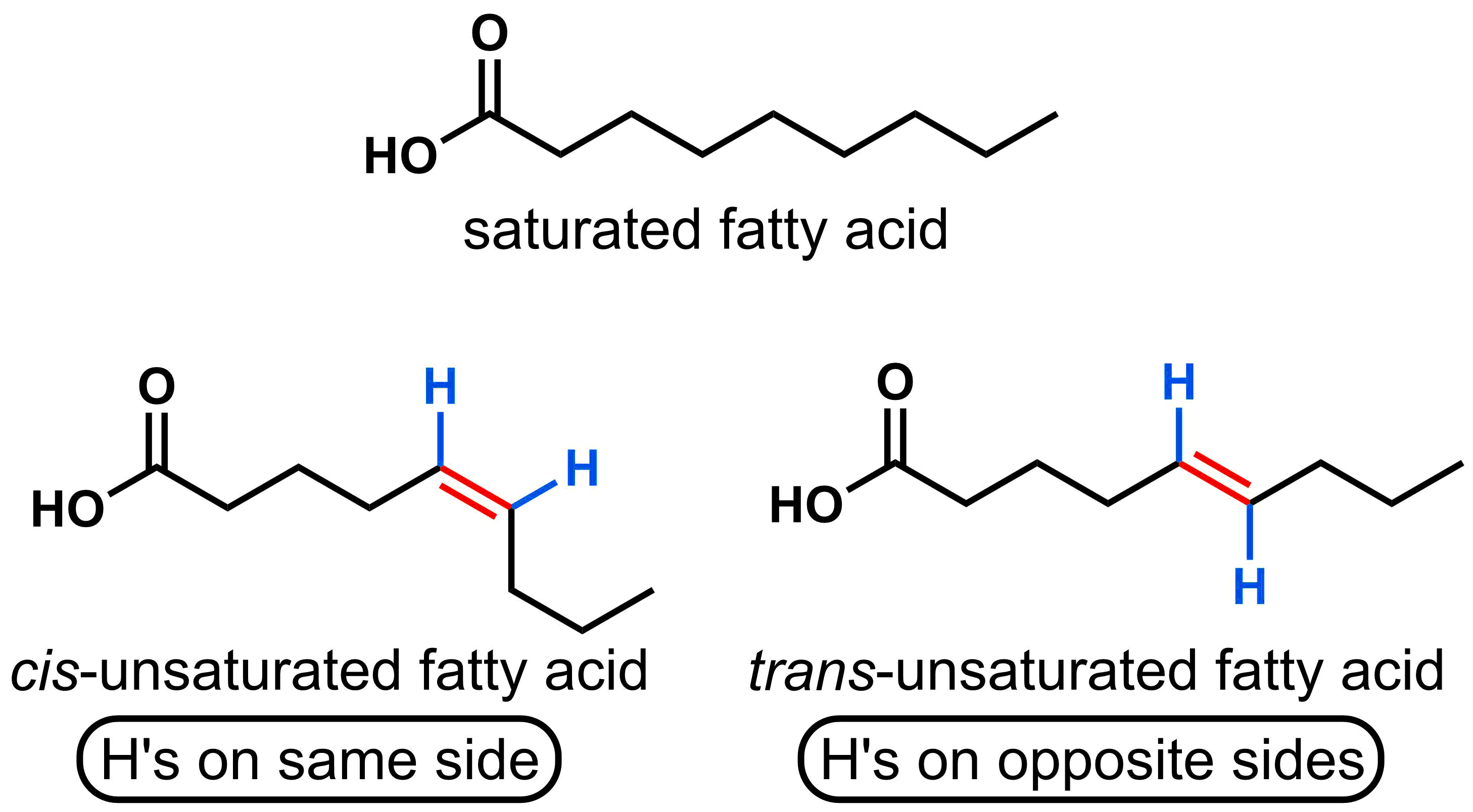4-1-fatty-acids