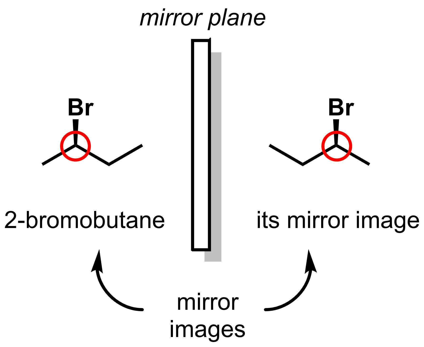 4-2-3-1-bromobutane
