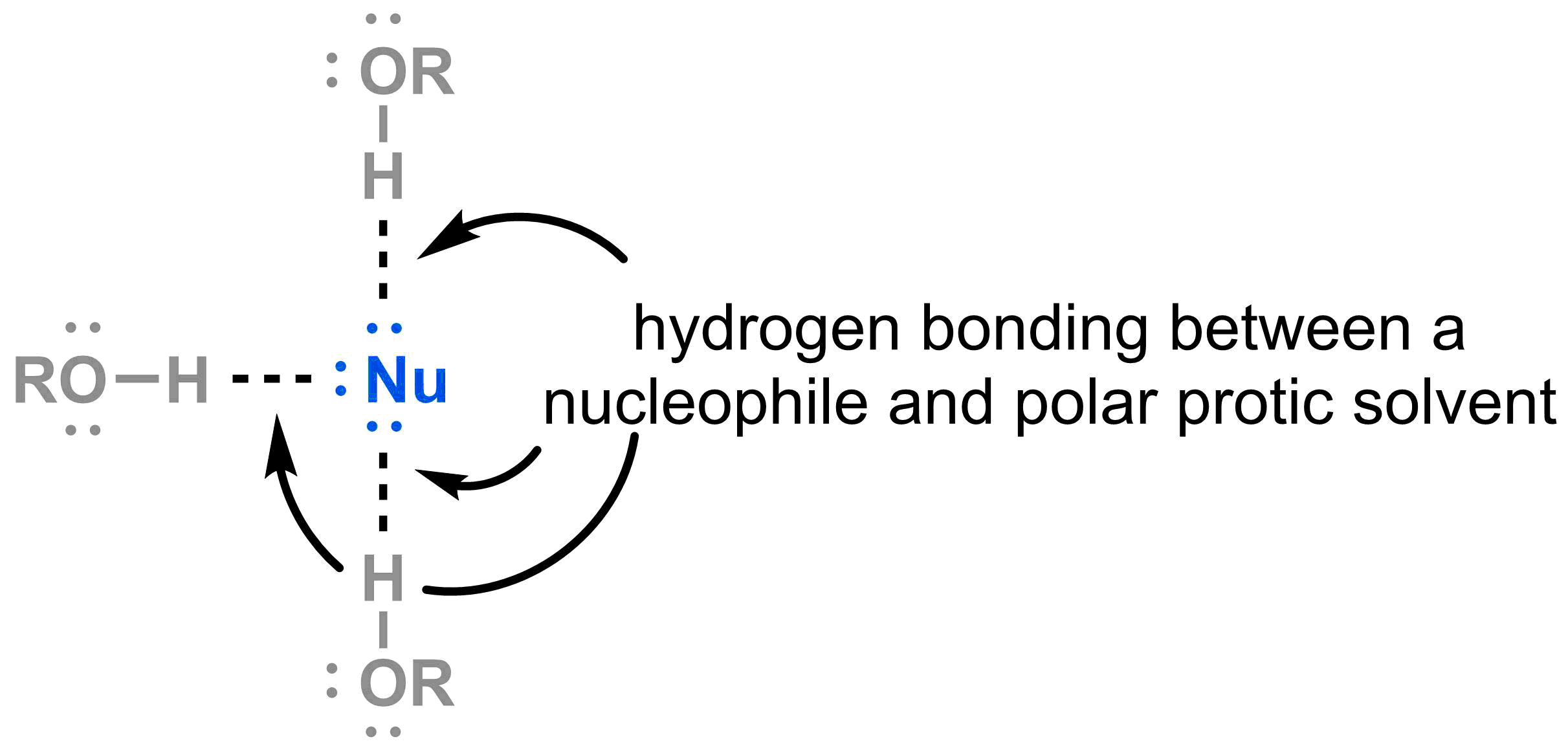 5-2-4-h-bond-network-with-nucleophile