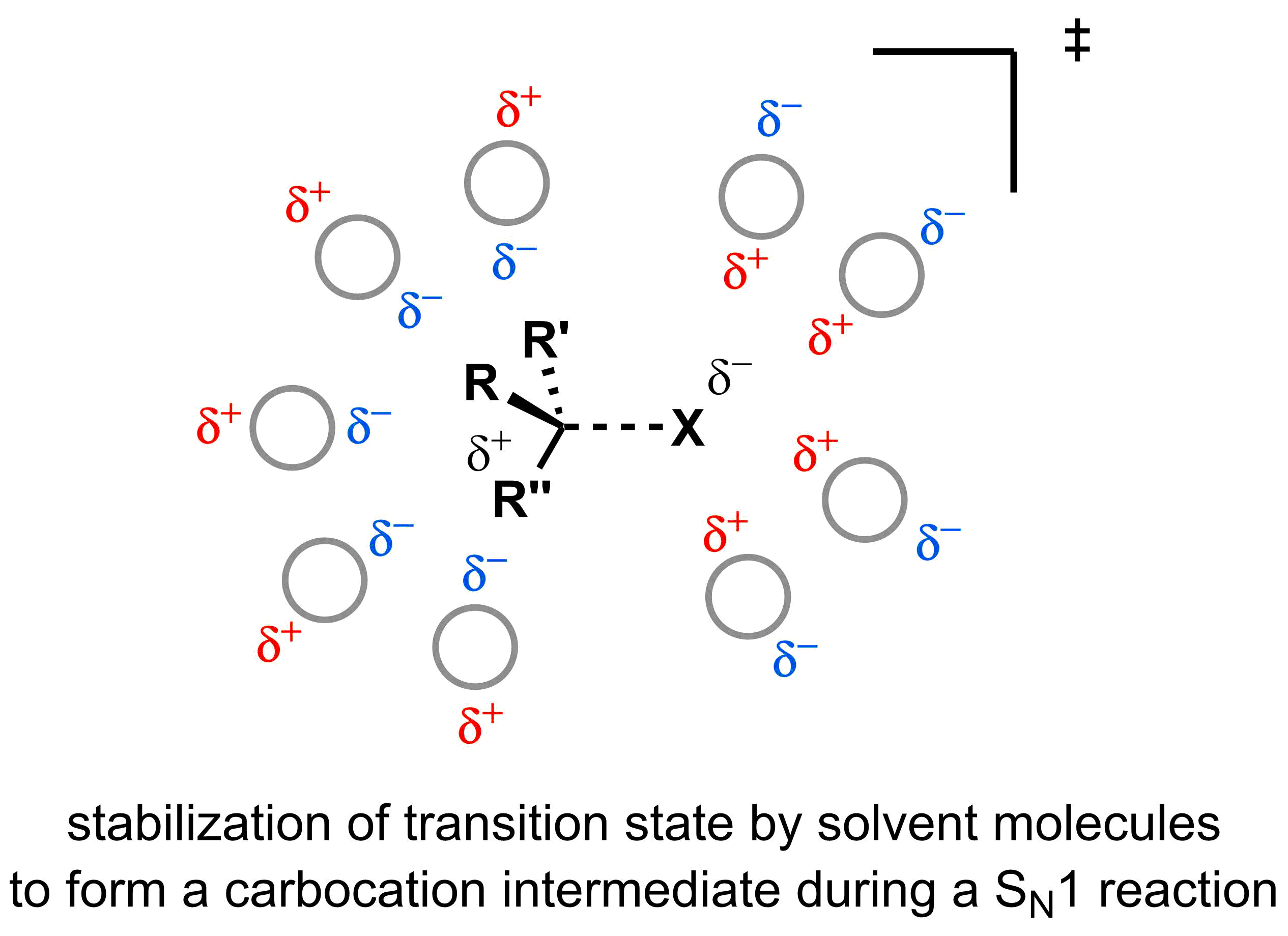 5-2-4-stabilization-by-solvent-sn1-ts