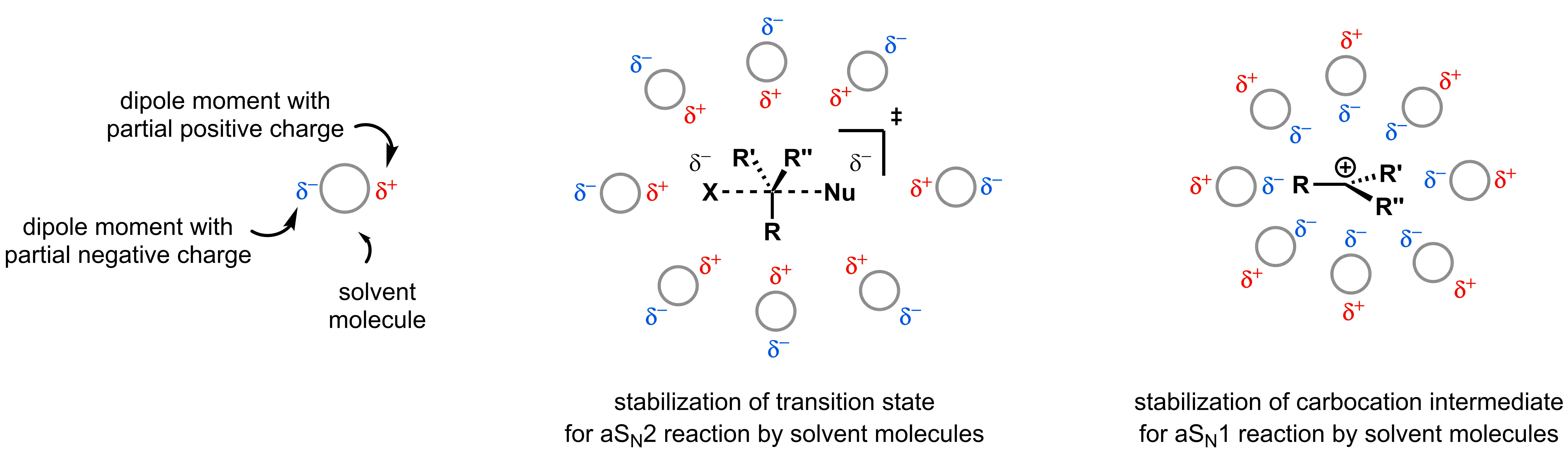 5-2-4-stabilization-by-solvent-molecules