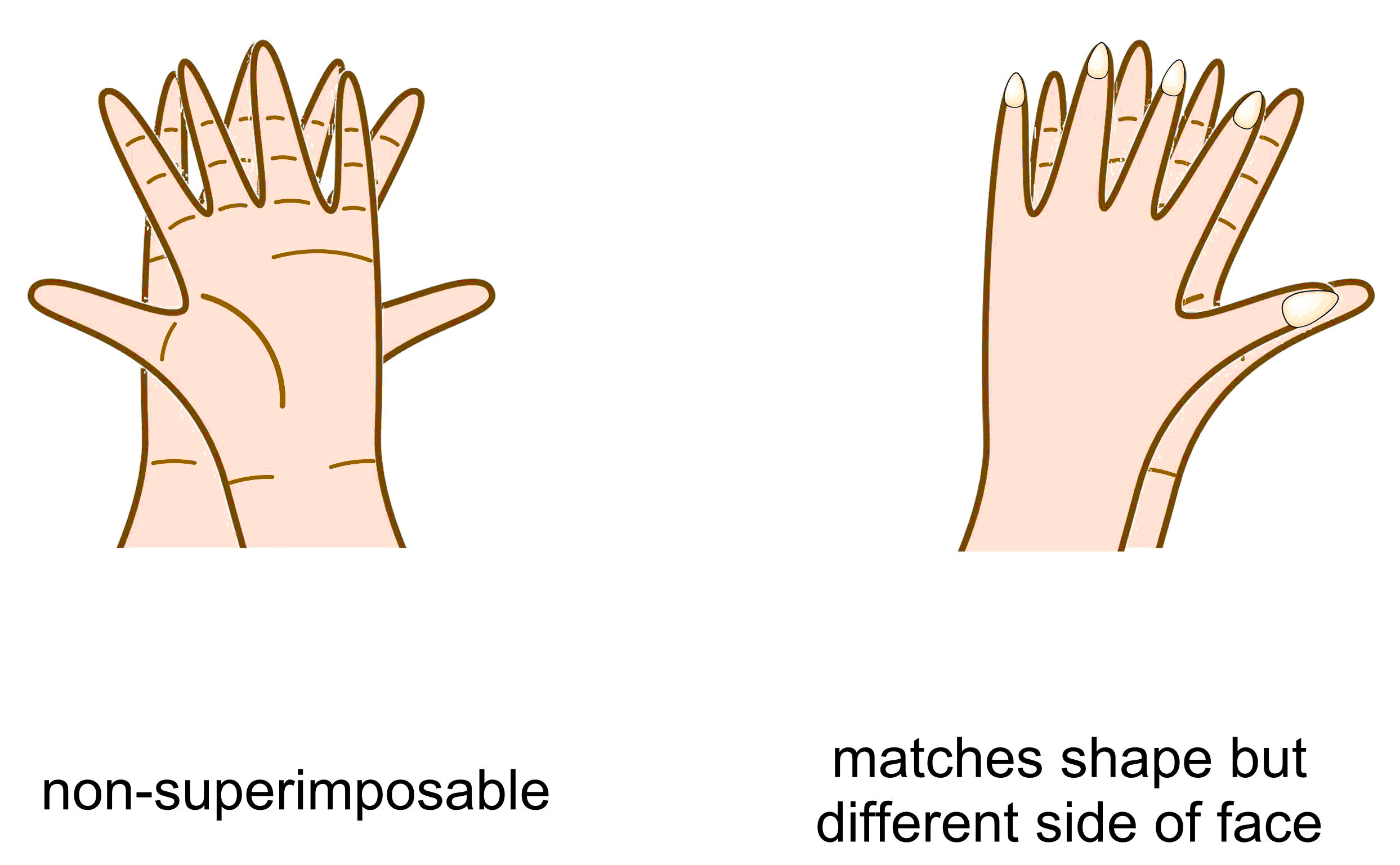 4-2-1-hands-mismatch