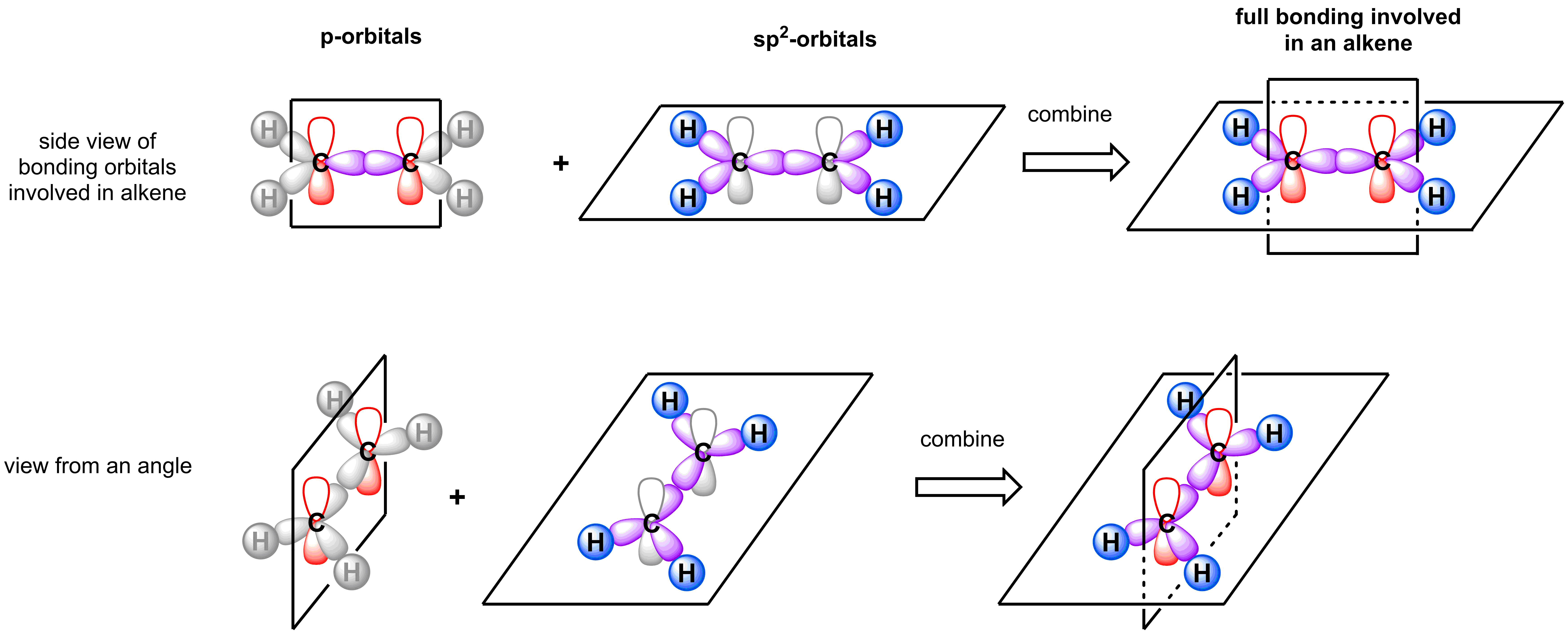 bonding in alkene