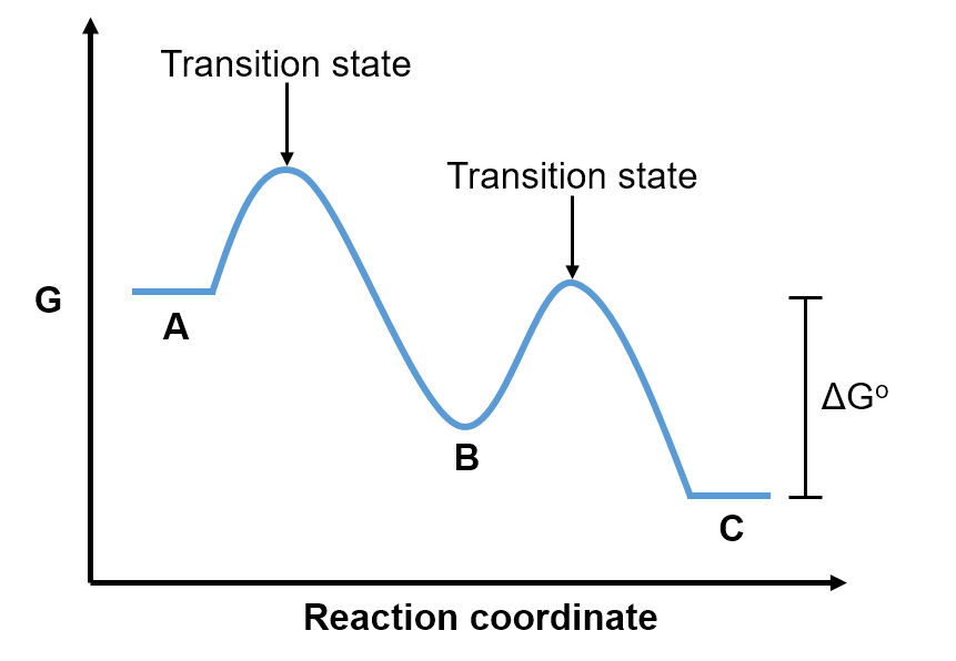 2 step reaction coordinate 1