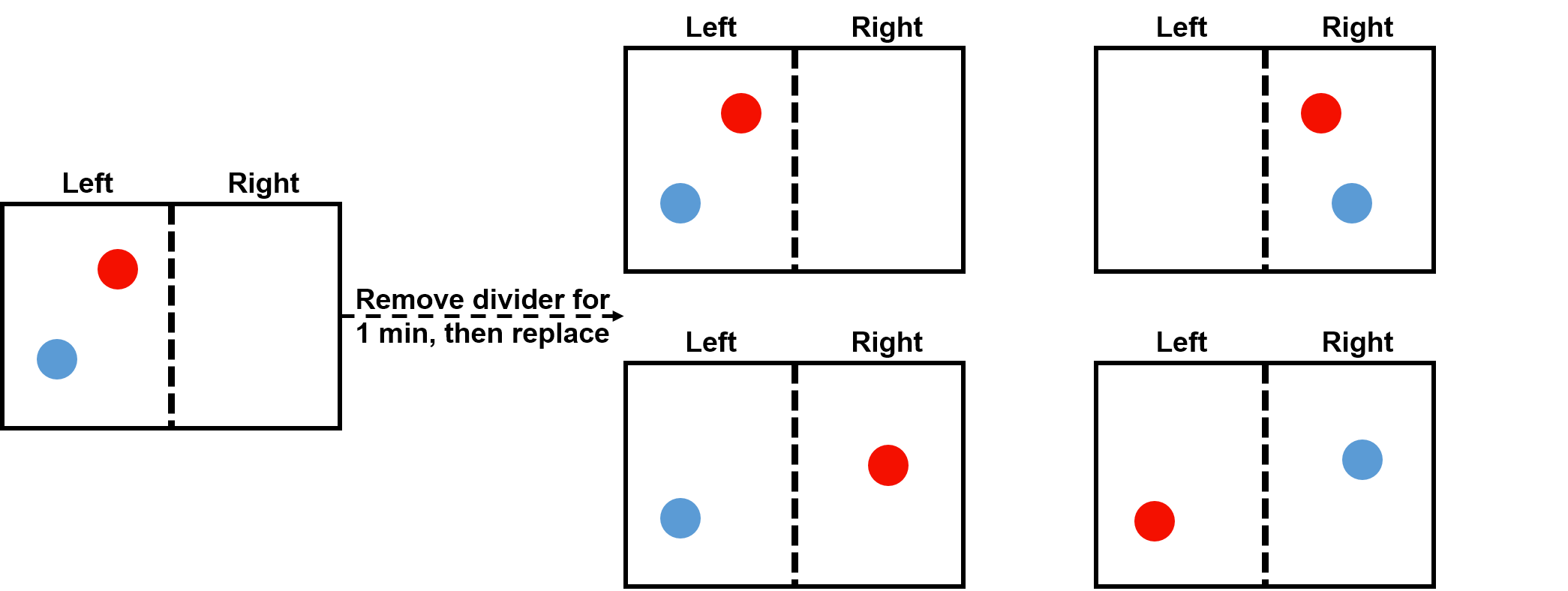 diffusion